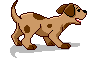 4.gif